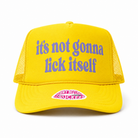 IT'S NOT GONNA LICK ITSELF TRUCKER HAT