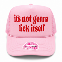 IT'S NOT GONNA LICK ITSELF TRUCKER HAT