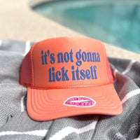 IT'S NOT GONNA LICK ITSELF TRUCKER HAT