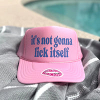 IT'S NOT GONNA LICK ITSELF TRUCKER HAT