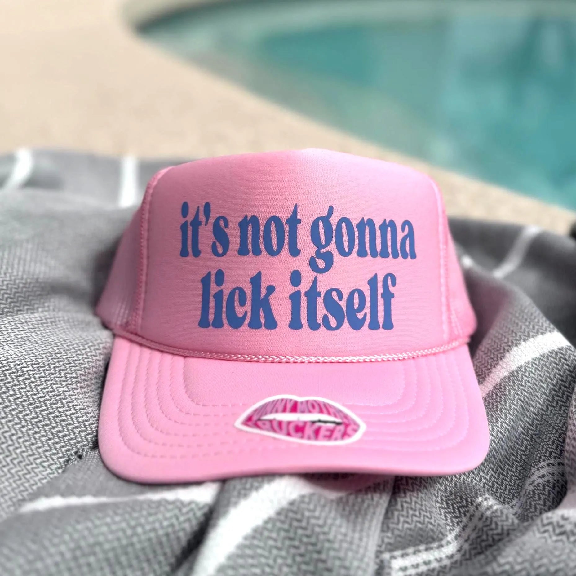 IT'S NOT GONNA LICK ITSELF TRUCKER HAT
