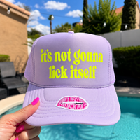 IT'S NOT GONNA LICK ITSELF TRUCKER HAT