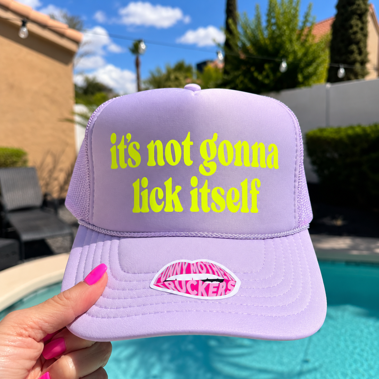IT'S NOT GONNA LICK ITSELF TRUCKER HAT